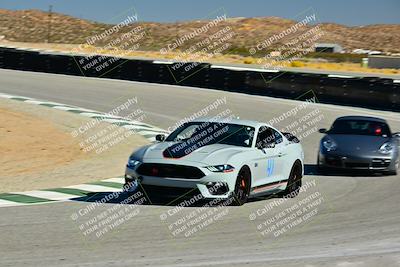 media/Nov-01-2025-Speed Ventures (Sat) [[3969607d77]]/Purple Group/Session 2 (Turns 1 and 3)/